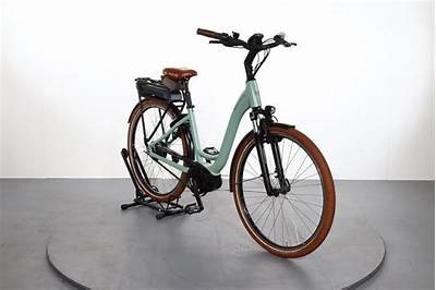 Comprehensive Review of Riese und Müller Swing Vario: Performance, Features, and User Experience