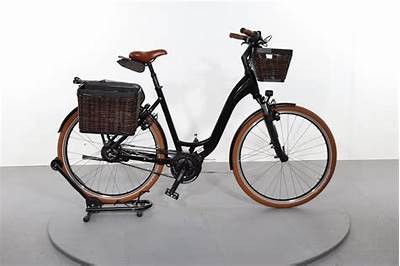 Comprehensive Review of Riese und Müller Swing Vario: Performance, Features, and User Experience