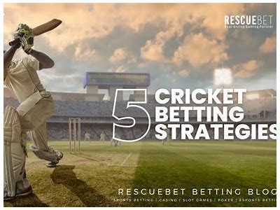 Discover the Exciting World of Willbet Cricket Betting Tips and Strategies for Success