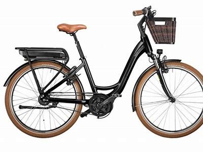 Comprehensive Review of Riese und Müller Swing Vario: Performance, Features, and User Experience