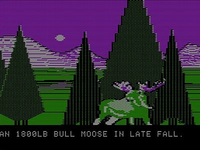 A Wild Adventure Awaits in the Thrilling Story of Survival and Danger