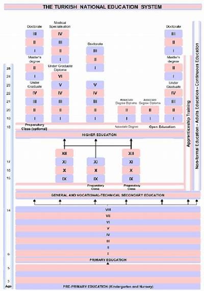 Current GS Puan Durumu and Its Implications for Students in Turkey
